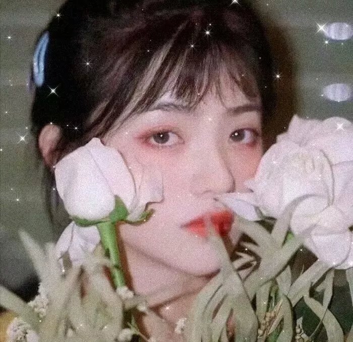 星际狗狗